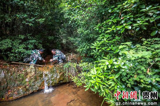 8月10日，张建、张忠、张华在拱拢坪林场内的溪边洗手。