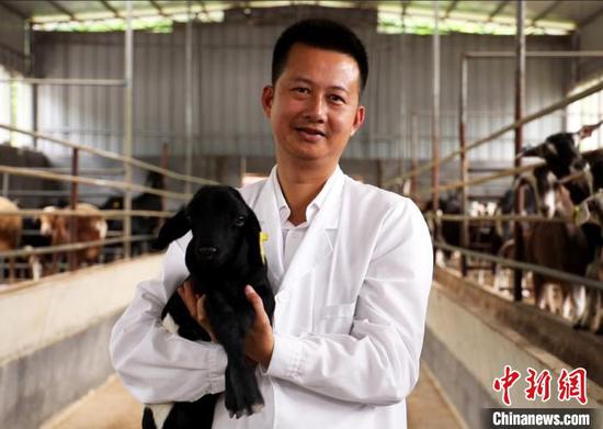 图为广西“80后”农民刘入源在山羊养殖示范基地里。博白县融媒体中心