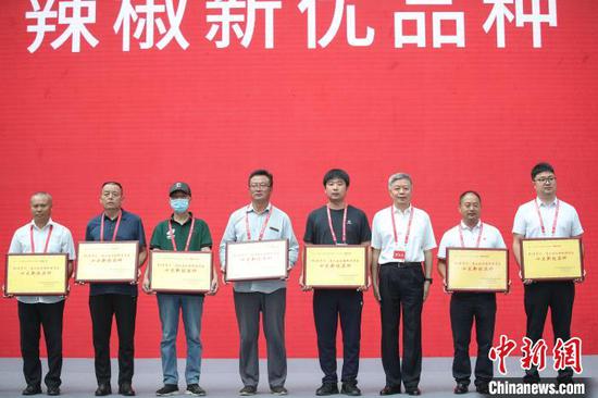 图为贵州省农科院辣椒研究所等十家单位获得“十大新优品种” 瞿宏伦 摄 图为贵州省农科院辣椒研究所等十家单位获得“十大新优品种” 瞿宏伦 摄