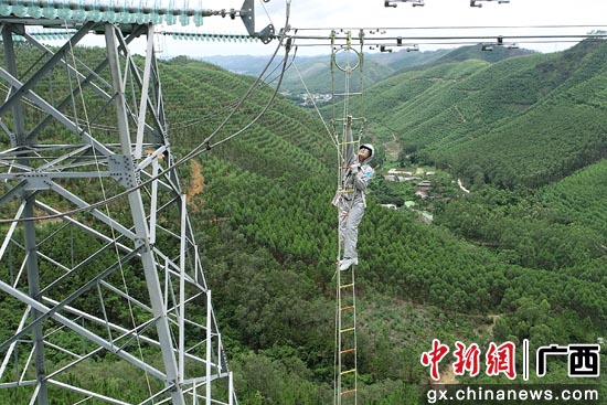 身着屏蔽服的输电人员爬上36米高的输电导线接头处。张德钦 摄