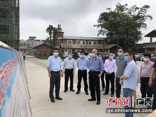 广西自然资源厅干部到项目区调研 广西“试水”全域土地整治助推乡村振兴