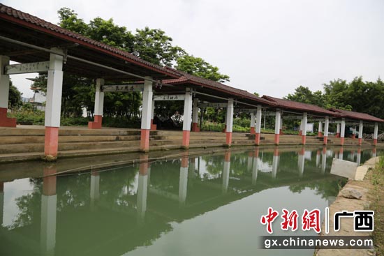全域土地整治让柳南区乡村旧貌换新颜。黄尚宁 摄 广西“试水”全域土地整治助推乡村振兴