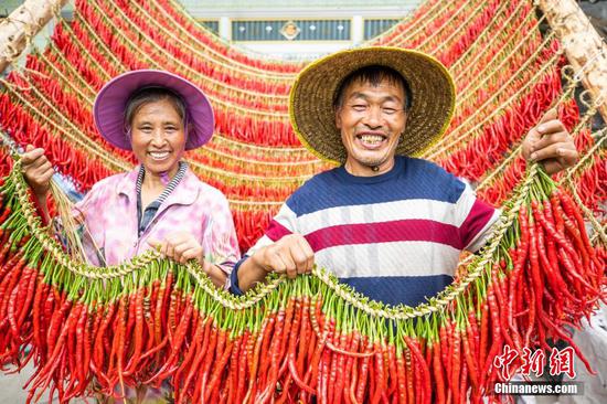 村民在贵州省毕节市大方县羊场镇陇公村整理晾晒编好的辣椒。 罗大富 摄