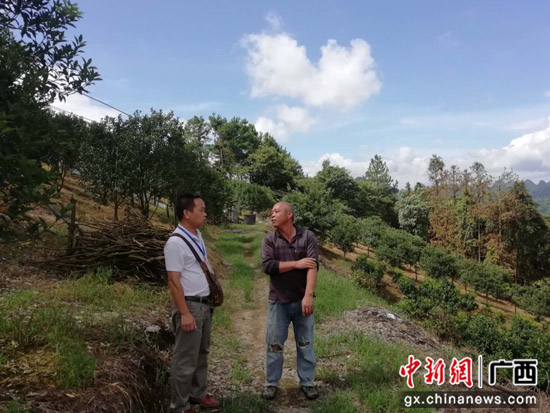 抱诚守真赤子心 驻村帮扶吐芬芳