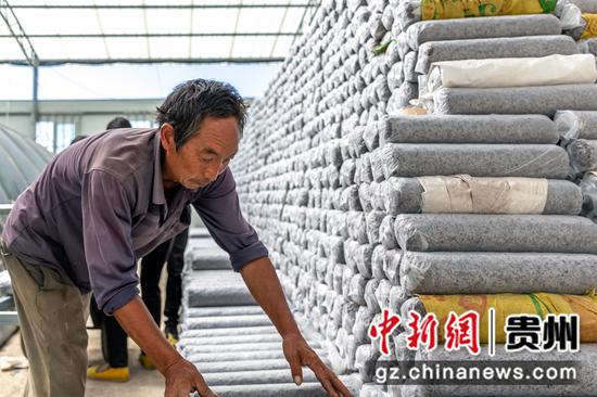 贵州省毕节市黔西县林泉镇海子社区盛腾农业科技开发有限责任公司食用菌生产车间,村民在堆放食用菌菌棒。
