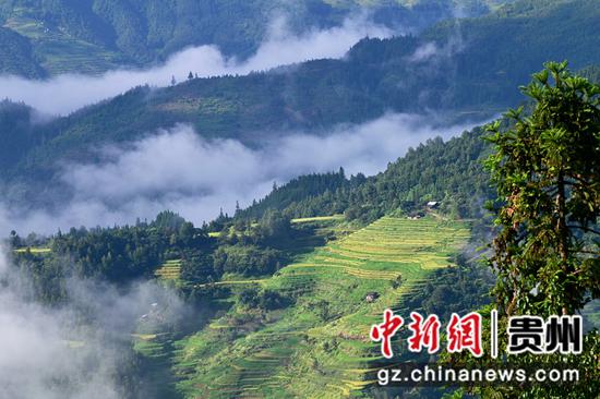 航拍贵州省从江县丙妹镇大塘苗寨晨景。