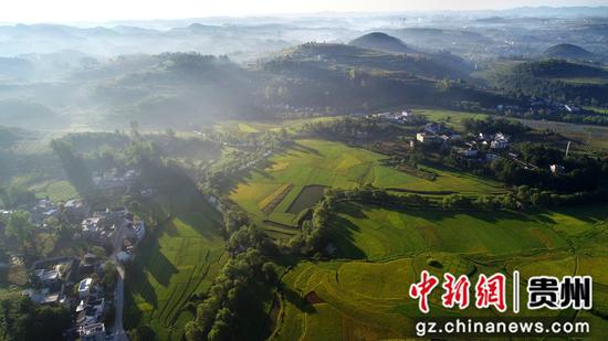 2020年8月29日拍摄的贵州省毕节市黔西县洪水镇解放村特色红米种植基地（无人机照片）   史开心 摄