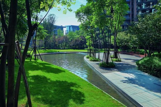 龙湖园区实景图 龙湖园区实景图