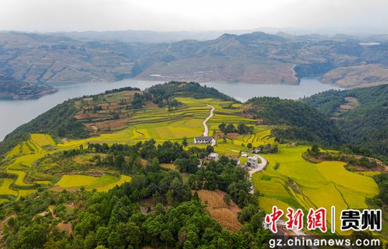 2020年9月3日，在贵州省毕节市黔西县锦星镇洪湖村拍摄的梯田景色(无人机照片)。范晖摄