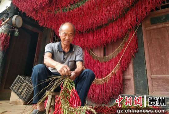 鼎新乡村民在编织辣椒 李蕾 摄 鼎新乡村民在编织辣椒 李蕾 摄