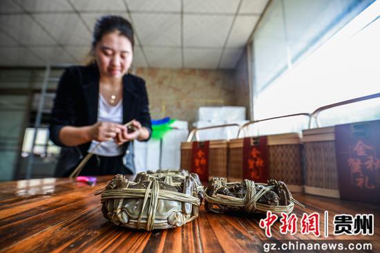 陆章朋的妻子在贵州省毕节市七星关区清水铺镇后山村的大闸蟹养殖基地包装大闸蟹,准备外销。 陆章朋的妻子在贵州省毕节市七星关区清水铺镇后山村的大闸蟹养殖基地包装大闸蟹,准备外销。