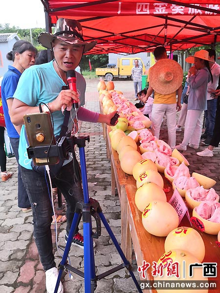 主播们在风沿村蜜柚节现场开展精彩助农直播。李干金 卓宛蓉 摄影报道 主播们在风沿村蜜柚节现场开展精彩助农直播。李干金 卓宛蓉 摄影报道