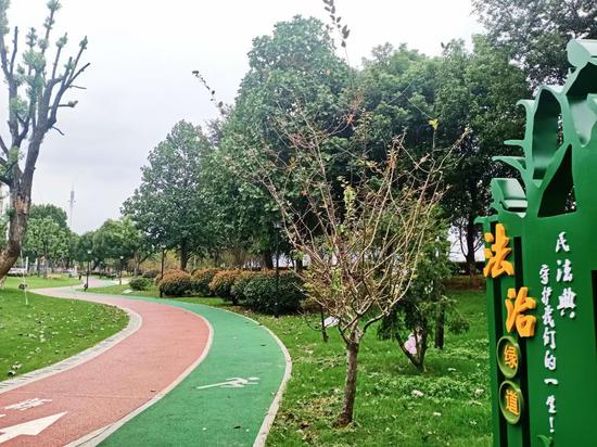 法治文化公园内的游步道。新昌县司法局供图