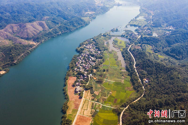 图为俯瞰广西梧州市苍梧县京南镇新寨村秋日美景.