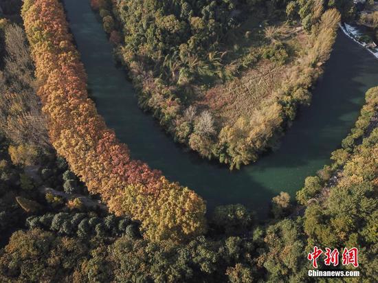10月24日,航拍贵阳市花溪区平桥黄金大道,河畔的法国梧桐树叶金黄,秋色美不胜收。 中新社记者 瞿宏伦 摄 10月24日,航拍贵阳市花溪区平桥黄金大道,河畔的法国梧桐树叶金黄,秋色美不胜收。 中新社记者 瞿宏伦 摄