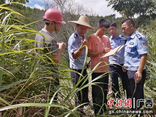 崇左市森林公安局民警开展核查疑似图斑工作 崇左市森林公安局民警开展核查疑似图斑工作