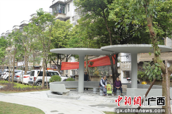 图为贵港市广播电视大学新改建的小花园