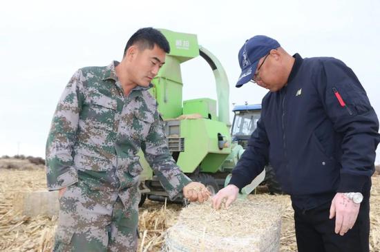 冯亮（右）在查看玉米秸秆经过收获机粉碎打包后的质量。