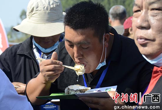 翟李强 摄