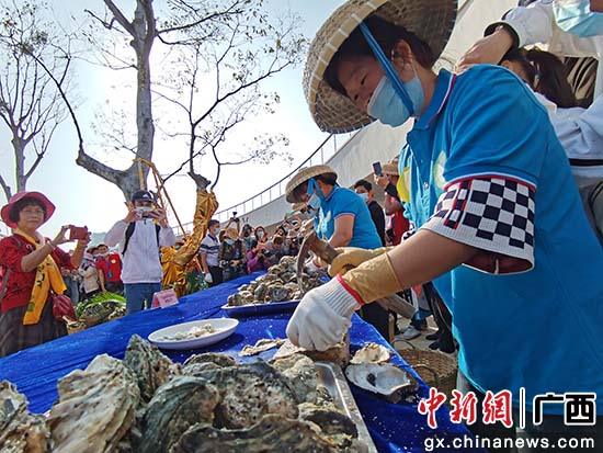 开蚝达人秀,比拼开蚝速度。翟李强 摄