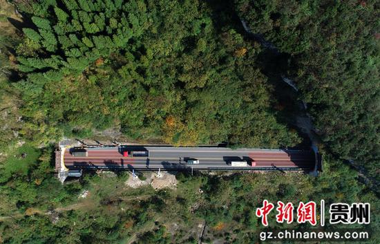 2020年11月12日,车辆行驶在国道212贵州省毕节市黔西县素朴镇境内的高家岩隧道(左)和九子寨隧道之间(无人机照片)。史开心 摄 2020年11月12日,车辆行驶在国道212贵州省毕节市黔西县素朴镇境内的高家岩隧道(左)和九子寨隧道之间(无人机照片)。史开心 摄