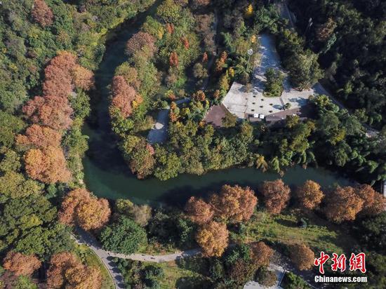 11月12日,航拍贵阳阿哈湖国家湿地公园。初冬时节,贵阳市阿哈湖国家湿地公园色彩斑斓,风景如画。中新社记者 瞿宏伦 摄 11月12日,航拍贵阳阿哈湖国家湿地公园。初冬时节,贵阳市阿哈湖国家湿地公园色彩斑斓,风景如画。中新社记者 瞿宏伦 摄