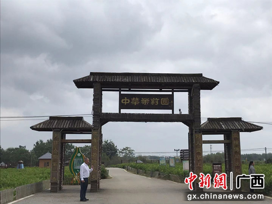 横县中华茉莉园