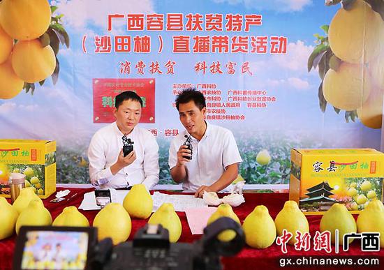 图为曾健(右)参与直播带货活动,助力消费扶贫。广西区科技供图 图为曾健(右)参与直播带货活动,助力消费扶贫。广西区科技供图
