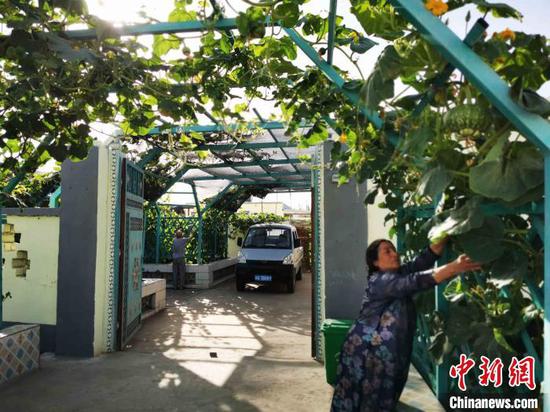 通过开展村庄清洁和绿化行动，团结村告别了“尘土飞扬”，人居环境持续改善。新疆维吾尔自治区党委网信办驻团结村工作队供图