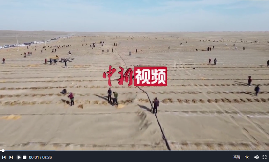 新疆且末县：沙漠边缘千人植树队栽树忙