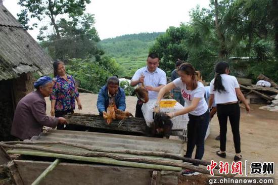 卢远明(左四)正在给贫困户杜玉芬家发鸡苗 卢远明(左四)正在给贫困户杜玉芬家发鸡苗