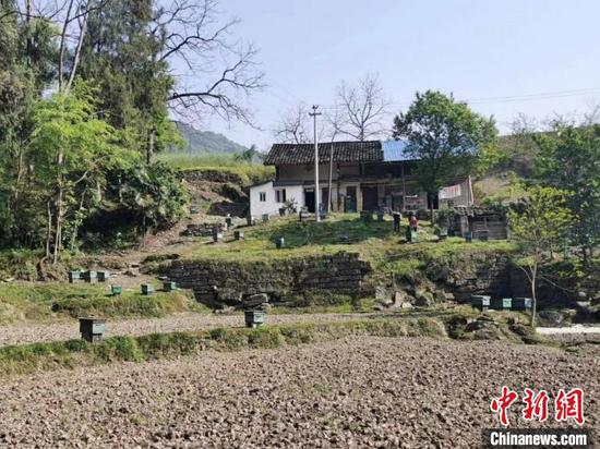 資料圖:正安縣安場鎮自強村自立組村民家的蜂箱。正安縣融媒體中心供圖 資料圖:正安縣安場鎮自強村自立組村民家的蜂箱。正安縣融媒體中心供圖