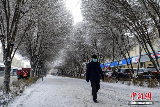 大雪过后 乌鲁木齐街头“玉树琼花”