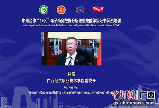 图为广西经贸职业技术学院副院长林震。