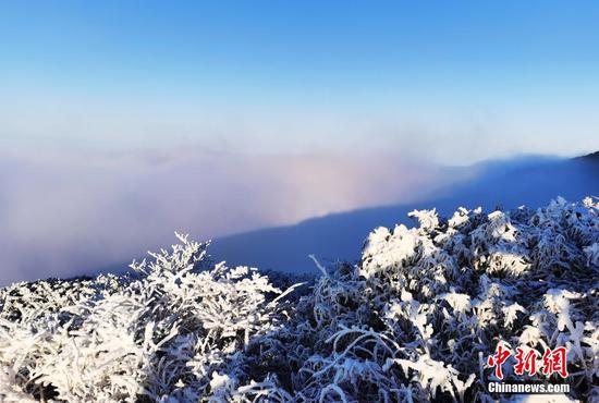 梵净山形成云雾翻滚的云海景观。 李鹤 摄 梵净山形成云雾翻滚的云海景观。 李鹤 摄