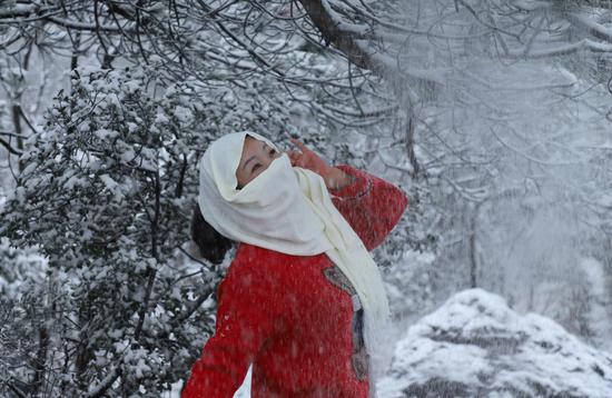 一位游人在金华浦江的树林中赏雪景。陈红星（通讯员） 摄