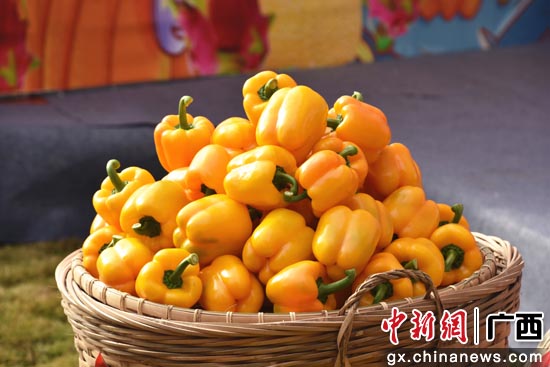陈征虎 摄