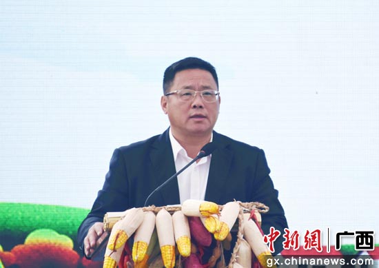 中共北海市银海区委书记游君宇致辞。陈征虎 摄