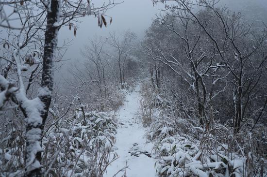 一场降雪让金华◆浦江的山区呈粉妆玉砌之景。陈红星（通讯员） 摄
