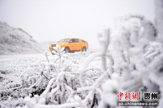 图为贵州一辆参加输电线路巡视工作的车辆行驶在被铺满雪白雪花公路上。 刘开福 摄