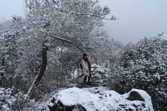 一位游人在金华∑浦江的树林中赏雪景。陈红星（通讯员） 摄