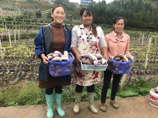 安龙农商银行贷款支持的八月瓜喜获丰收 安龙农商银行贷款支持的八月瓜喜获丰收