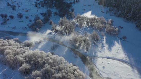 新疆巴州:鞏乃斯國家森林公園雪后美如童話