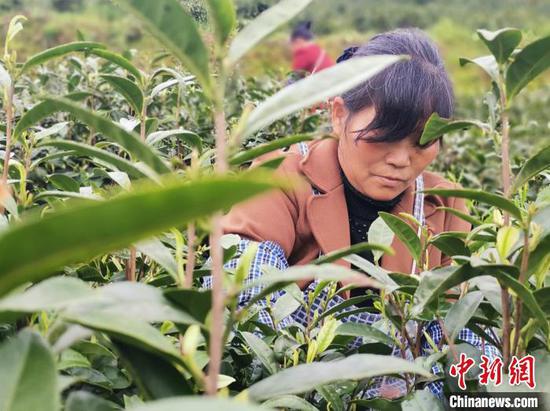 資料圖為正安縣謝壩壩區。正安縣融媒體中心供圖 資料圖為正安縣謝壩壩區。正安縣融媒體中心供圖