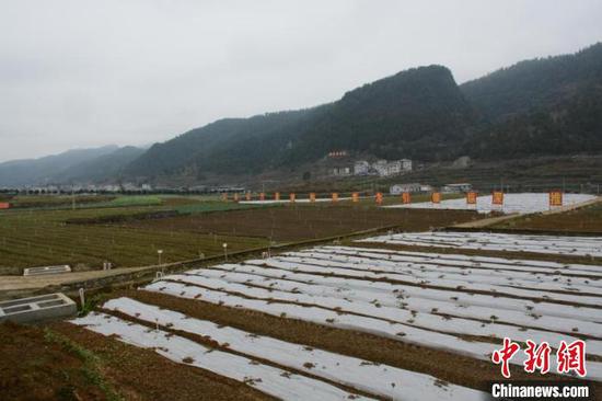 資料圖為正安縣謝壩壩區。正安縣融媒體中心供圖 資料圖為正安縣謝壩壩區。正安縣融媒體中心供圖