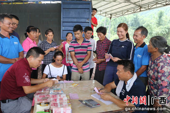 广西桂林市平乐县拓宽产业路 托起致富梦