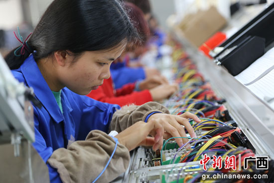 广西桂林市平乐县拓宽产业路 托起致富梦