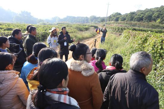 广西北流分批培训600名百香果种植高素质农民