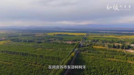 “全球500佳境”“綠色長城”——柯柯牙綠化工程