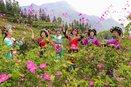 刺梨花開 王光厚 攝 刺梨花開 王光厚 攝